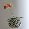 Sponge Sculpture Hanging Planter