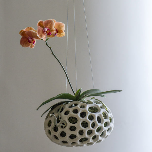 Sponge Sculpture Hanging Planter