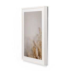 Dried Floral I By Annie Spratt