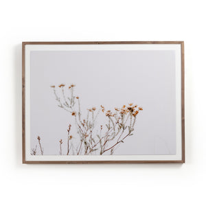 In The Details I By Annie Spratt