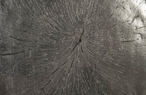 Log Wall Slice, Silver Leaf