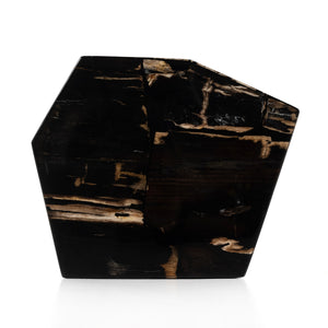 Shep End Table In Polished Petrified Wood