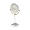 Sandy III (Large) 8L x 4W White Coastal Sand Dollar Object