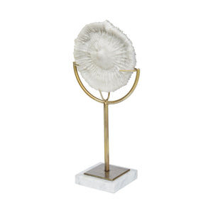 Sandy III (Large) 8L x 4W White Coastal Sand Dollar Object