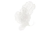 Butterfly Wall Art, White, Large