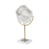 Sandy I (Small) 6L x 3W White Coastal Sand Dollar Object
