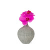 Vortex Vase with Fuchsia Phalaenopsis Orchids
