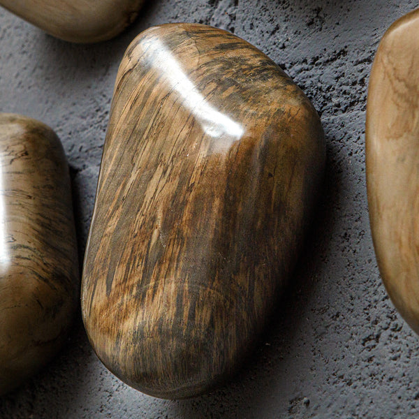 Pebbles Walnut Wood Wall Décor, S/9