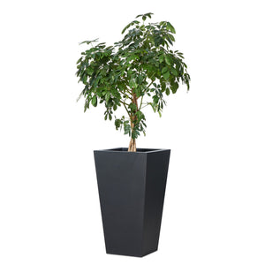 Koto Planter - Black Concrete