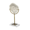 Sandy II (Medium) 6L x 3W White Coastal Sand Dollar Object