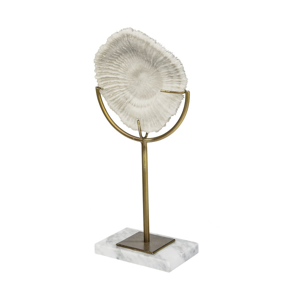 Sandy II (Medium) 6L x 3W White Coastal Sand Dollar Object