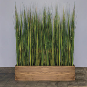 Tall Onion Grass in Custom Rectangle Planter