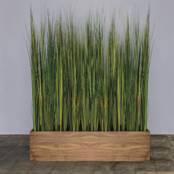 Tall Onion Grass in Custom Rectangle Planter