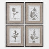 Casual Grey Study Framed Art Set/4