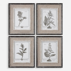 Casual Grey Study Framed Art Set/4