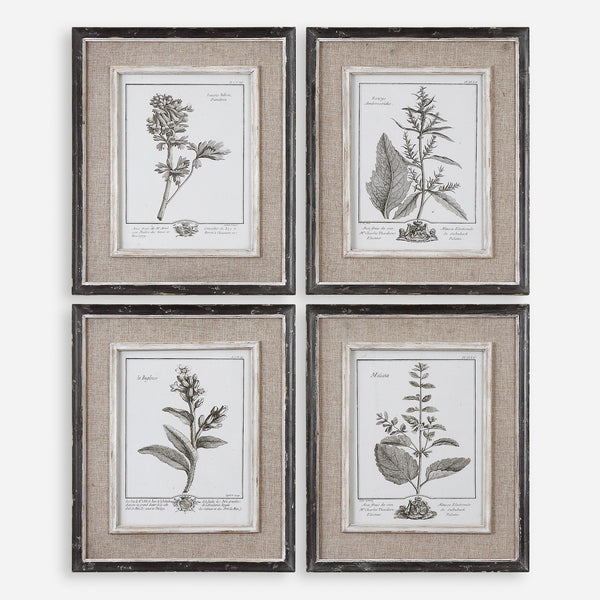 Casual Grey Study Framed Art Set/4