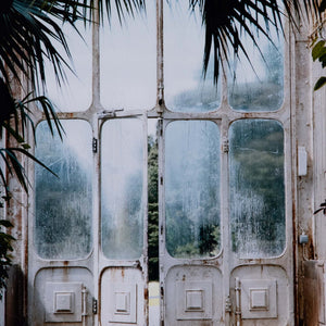 Greenhouse Ii By Annie Spratt Framed Paper