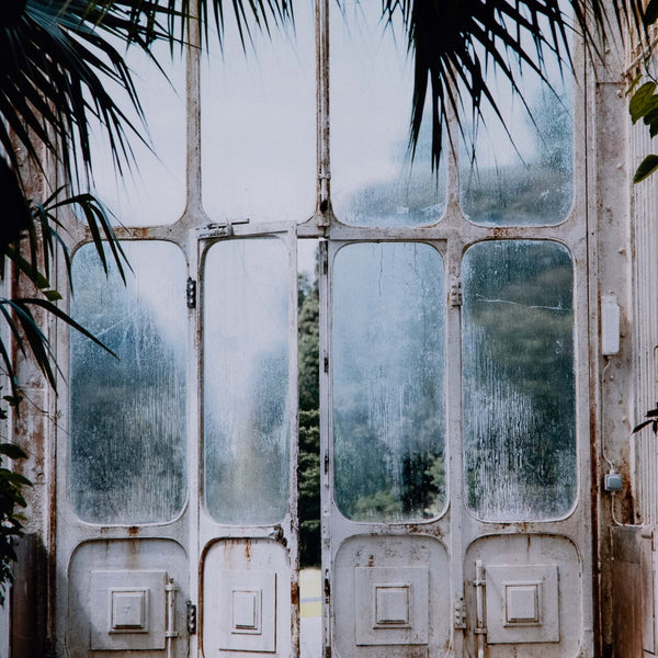 Greenhouse Ii By Annie Spratt Framed Paper