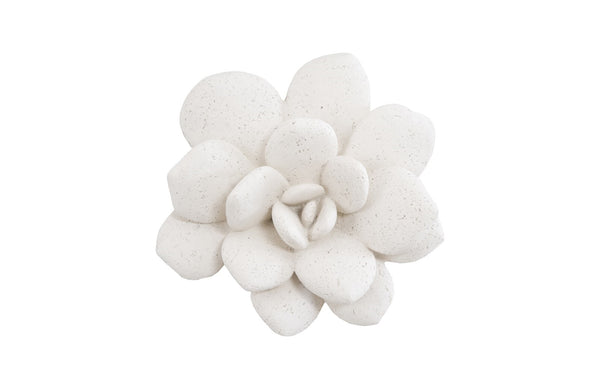 Laui Succulent Wall Art, White Stone