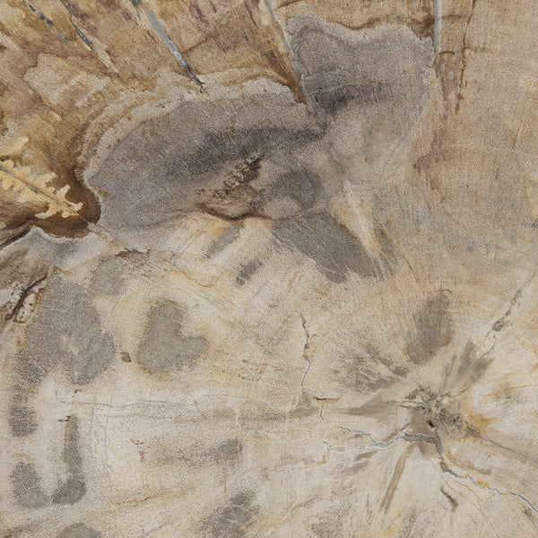 Jonty Round End Table In Petrified Wood