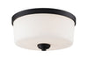 Arlington 3 Light Flush Mount in Bronze Finish
