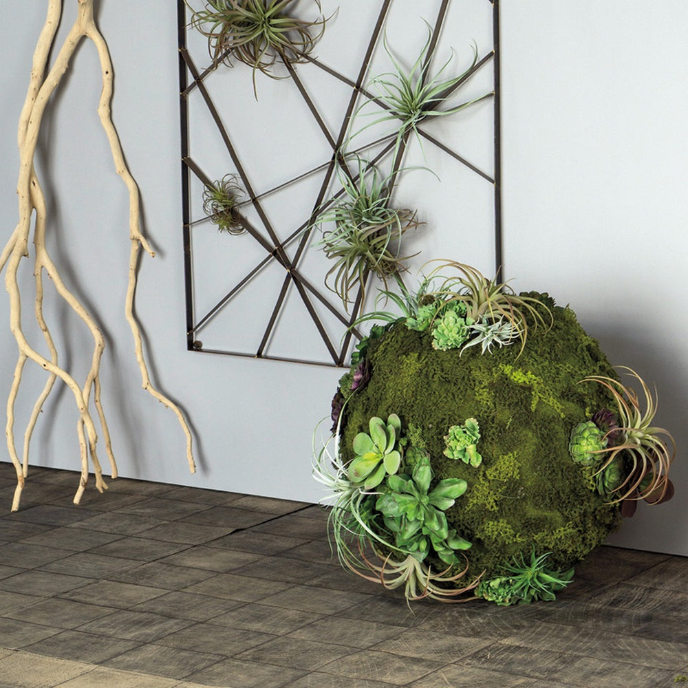 California Mix Moss Sphere