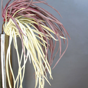 Wine Color, Pteris Spray