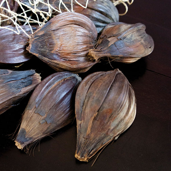 Nipa Fruit