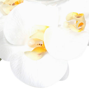 Orchid White Phalaenopsis 28"L Stem