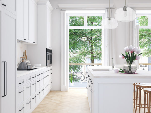 Harmony 1 Light Pendant in Brushed Nickel Finish