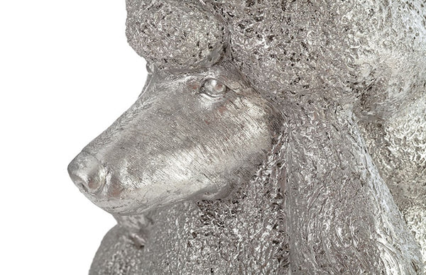 Poodle Dog, Silver Leaf
