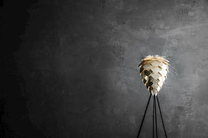 Conia Brass 57" Tripod Floor Lamp with Black Base