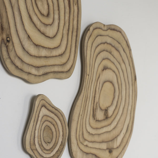 Contour Freeform Wall Art