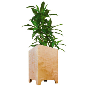 fitzgerald planter - maple