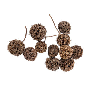 Sweetgum Balls, +/- 44 pcs