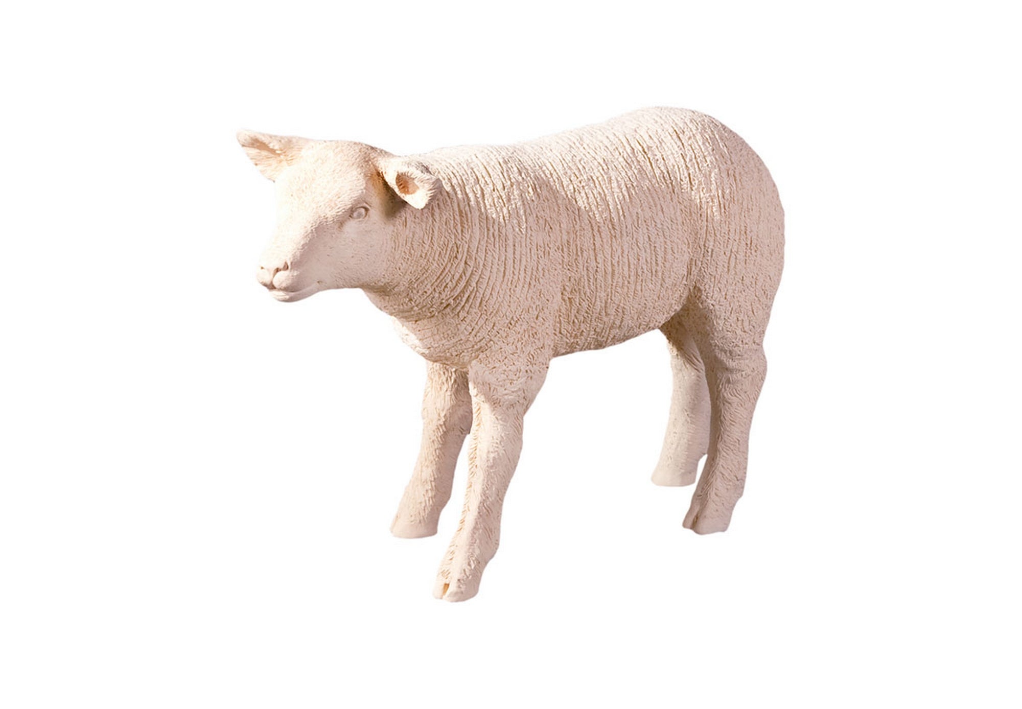 Phillips Collection Texelaar Sheep - Thumbnail 5