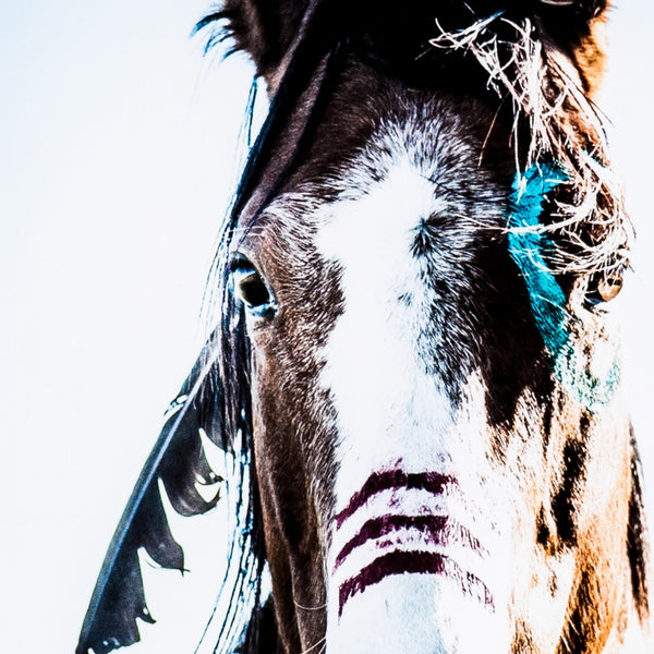 War Horse framed wall art