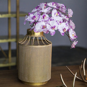 Spotted Phalaenopsis Orchids in Ornata Vase