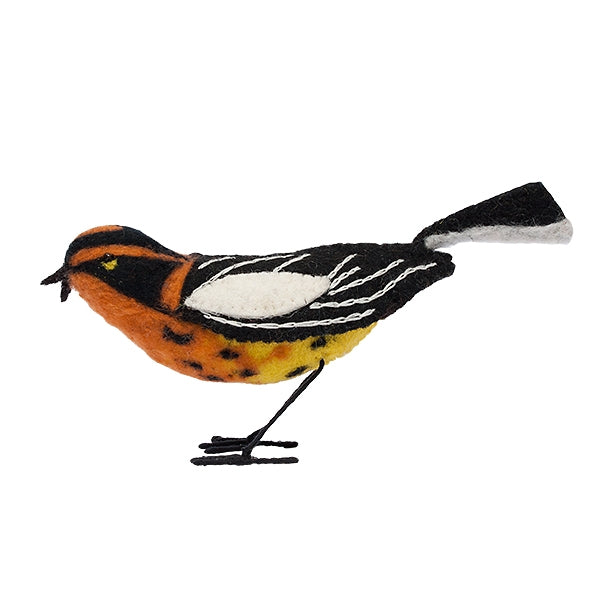 Blackburnian Warbler, Felt Bird