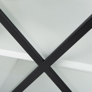 Aurelia Two Door Glass Cabinet