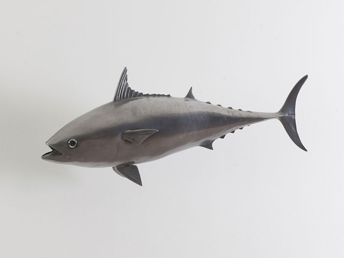 Mackerel Fish, Polished Aluminum