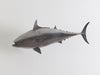 Mackerel Fish, Polished Aluminum