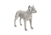 Pitbull Dog, Silver Leaf