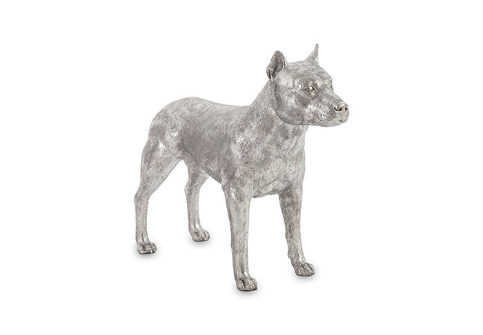 Pitbull Dog, Silver Leaf