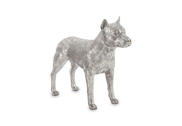 Pitbull Dog, Silver Leaf