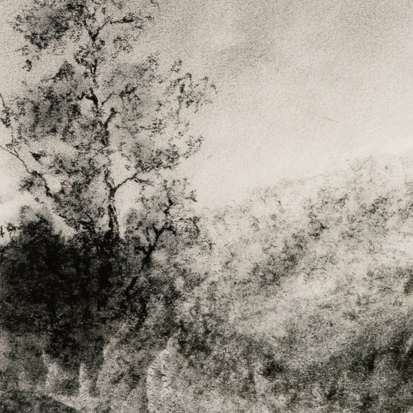 Landscape Study I By Aileen Fitzgerald