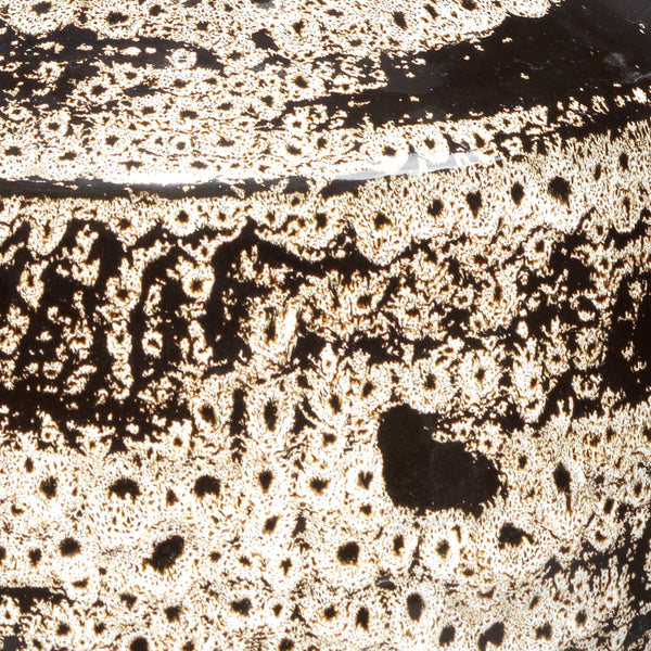 Jones Ceramic Decorative Vase