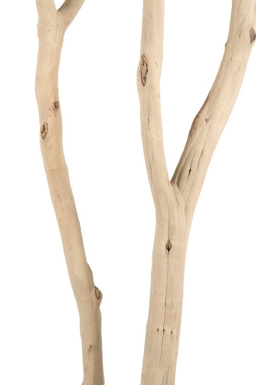 Redwood, Sandblasted 6'H