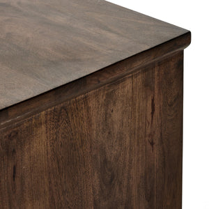 Newton Media Console in Brown
