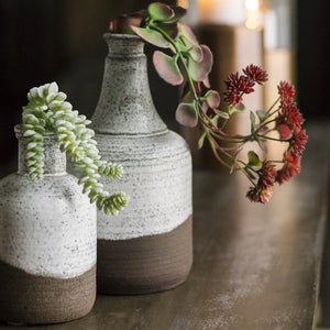 Kalanchoe Flowers in Oxide Bottle